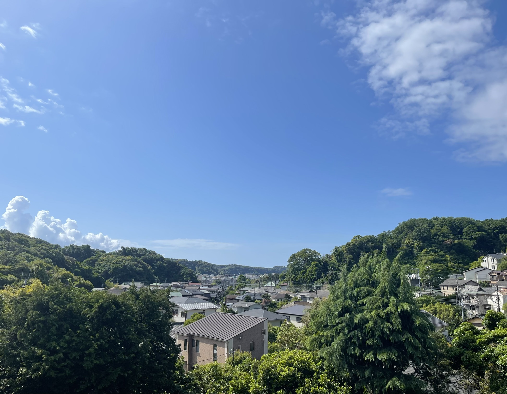 樹木葬墓地